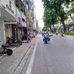 Bán gấp 175m² đất phố kim mã - ba đình_mặt ngõ ô tô, kinh doanh đỉnh_giá chỉ 39.9 tỷ
