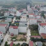 Bán đất đấu giá nam cường, phụng thượng
