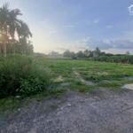 5x47 có 60m2 thổ cư. đường nhựa thông gần trường học. 490tr
