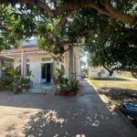 Bán 2 căn nhà 14x37 (696m2) sẵn 300m2 tc @ mt đường lý thái tổ giá rẻ gần biển