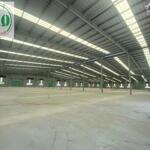 Cho thuê xưởng diện tích 23.000m2 kcn cái mép, huyện tân thành, brvt.