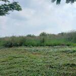 Bán đất xây dựng xưởng 1.7ha kcn xuân lộc, huyện xuân lộc, đồng nai