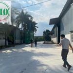 Cho thuê 2,5ha có 8.000m2 nhà xưởng và máy móc tại phú giáo, bình dương