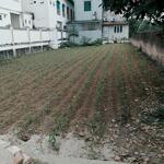 Hàng hiếm 300m2 full đất ở, giá nhỉnh 3 tỷ
