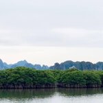 Bán ô đất giáp biển gần hạ long xanh. hơn 4000m2 có (1400m thổ cư)