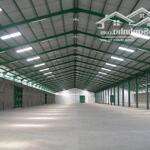 Bán kho xưởng tại huyện châu thành, tỉnh tiền giang.