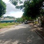 200m hka trục thông biển siêu ngon đầu tư