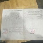 Bán đất lô góc mặt đường 10m tại tràng cát cách 20m là trường học các cấp.