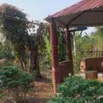 Nhà vườn sinh thái ôm suối thơ mộng ở huyện châu đức, brvt tổng dt 1,5ha có 100m2 thổ giá 19 tỷ