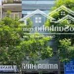 40 tỷ! bán mt ngay ks pullman quận 1 - 5*17m - hầm 6 lầu thang máy