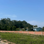 Bán nhanh 500m2 đất dương tơ, sang sổ ngay