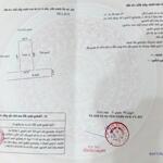đất tràng cát cần bán lô ngõ 24 ngay gần uỷ ban phường đi vào ngõ rộng oto vào đến đất.