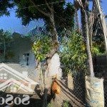 Hàng hot diên an khu dân cư giá chỉ 9tr/m2 ngang 6m giá chủ cần bán 1tỷ4 lh: 0905.211.155(kiệt)