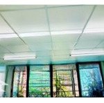 Cho thuê văn phòng có thang máy giá rẻ, mặt đường to 42m tại đại mỗ nam từ liêm hà nội