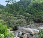 3 tỷ mỗi năm tiền nhàn rỗi, gần 5ha cần bán giá rẻ đón sóng cam lâm
