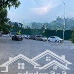Cc bán đất biệt thự cổ dương, tiên dương 173.5m2 lô góc, kinh doanh đường 8m có vỉa hè - gần trường