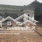 Chủ cần tiền gấp bán nhanh lô đất 290m, full thổ cư, thạch đà giá chỉ 15tr/m2, thiện chí bớt lộc