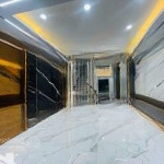 Mai động - lĩnh nam - tam trinh. nhà mới 6tầng, tm, ôtô cất trong nhà. full nội thất. vườn, bể bơi