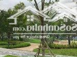 Bán biệt thự tại khu đô thị palm marina, 15 tỷ, 180m2, giá ưu đãi