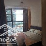 Bán căn hộ 2pn, 2wc tại glory heights, 3,9x tỷ vnd, 66m2, q9, hcm - hot