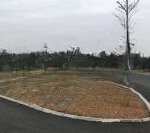 Bán đất chính chủ đường nguyễn khắc hiếu, tam phước, biên hòa, đồng nai, giá 1ty290tr, 112m2.