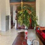 Nhà mặt phố,ô tô đỗ tận cửa,kinh doanh đỉnh cao. sổ đỏ hoa khôi,nở hậu.