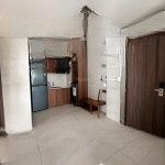 Căn hộ 1pn cao cấp ngay công viên gia định, xung quanh nhiều tiện ích