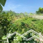 Bán gấp lô đất dân diên tân diên khánh