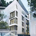 Bán nhà lô góc xây mới, 6 tầng, thang máy, 10m ra mặt phố ngô gia tự, 8,2 tỷ. 0975585817