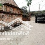 Hàng hiếm - bán đất tại trạch mỹ lộc, phúc thọ, hà nội, 21 triệu / m2
