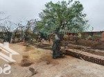 View sân thể thao đất 2 mặt đường hà hương - liên hà, mt 6m vuông vắn tốt gần ngay dự án của vin