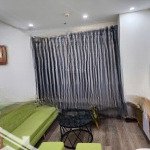 Bán căn hộ 1pn - 1vs berriver jardin 390 nguyễn văn cừ