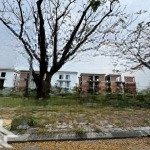 Bán đất khu a gđ 1 golden hills city, 125m2, đối lưng biệt thự, sát trục chính chỉ 3,1 tỷ