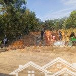 Bán đất thới hòa tp bến cát bình dương giá rẻ