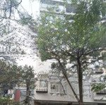 Siêu phẩm - hồ trúc bạch - ba đình - nội thất xịn -9 tầng thang máy - vỉa hè rộng - dòng tiền 150