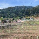 Bán lô đất 1.000m2 ngay chân đèo prenn - sát resort đôi dép