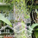 Cần bán gấp mảnh đất 60 m2 mặt tiền 4m tại phố thanh đàm phường thanh trì quận hoàng mai hà nội.