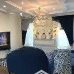 Bán bt vinhomes 270m2 hoàn thiện đẹp, đường rộng thông thoáng, mặt công viên, sông rộng, giá 65 tỷ