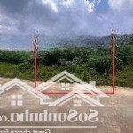Chính chủ kẹt tiền bán lỗ lô đất mua 600tr giờ còn 350tr ở xã thanh an. gần chợ trường học xung qua