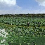 Bán gấp lô đất mặt hồ quan nhân, dt 180m, mt 8,2 lô góc 3 mặt thoáng, ô tô vào nhà, giá 45 tỷ