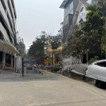 Bán biệt thự đơn lập lô góc 200m2 dự án packexim, tây hồ sát ciputra & sunshine, giá 40 tỷ