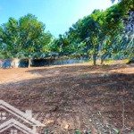 Nhượng 2925m đất tại lương sơn.hoà bình