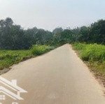 đất đường liên xã xuân giang đi sân bay