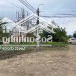 Chính chủ bán đất dịch vụ lại yên, 62m2, cạnh đường 40, trục kết nối vành đai 3.5-vành đai 4