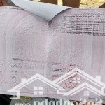 Cần bán gấp 300m2 đất vườn tại phường phú chánh. sát trung tâm hành chính tp mới bình dương