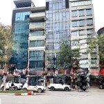 Bán nhà mặt phố đào tấn - vỉa hè rộng, 6 tầng thang máy, kinh doanh sầm uất giá siêu đẹp chỉ 50 tỷ