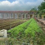 Cần bán mảnh đất 423m2 gần chợ đông tảo mặt tiền 24m giá đầu tư, lh 0961694919