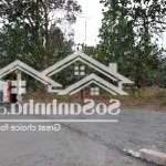 Bán 400m2 đất lô góc 2 mặt đường bê tông, cách cầu giấy hơn 10km, có sổ hồng giá chỉ 3 triệu/m2