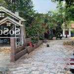 Bán đất đỗ xuân hợp, giá 52 tỷ, dt: 873.8m2, giá đầu tư, quận 9, tp. hcm