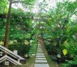 Bán căn góc 2 mặt đường vị trí trung tâm flamingo đại lải resort 446m2 gần mọi tiện ích
